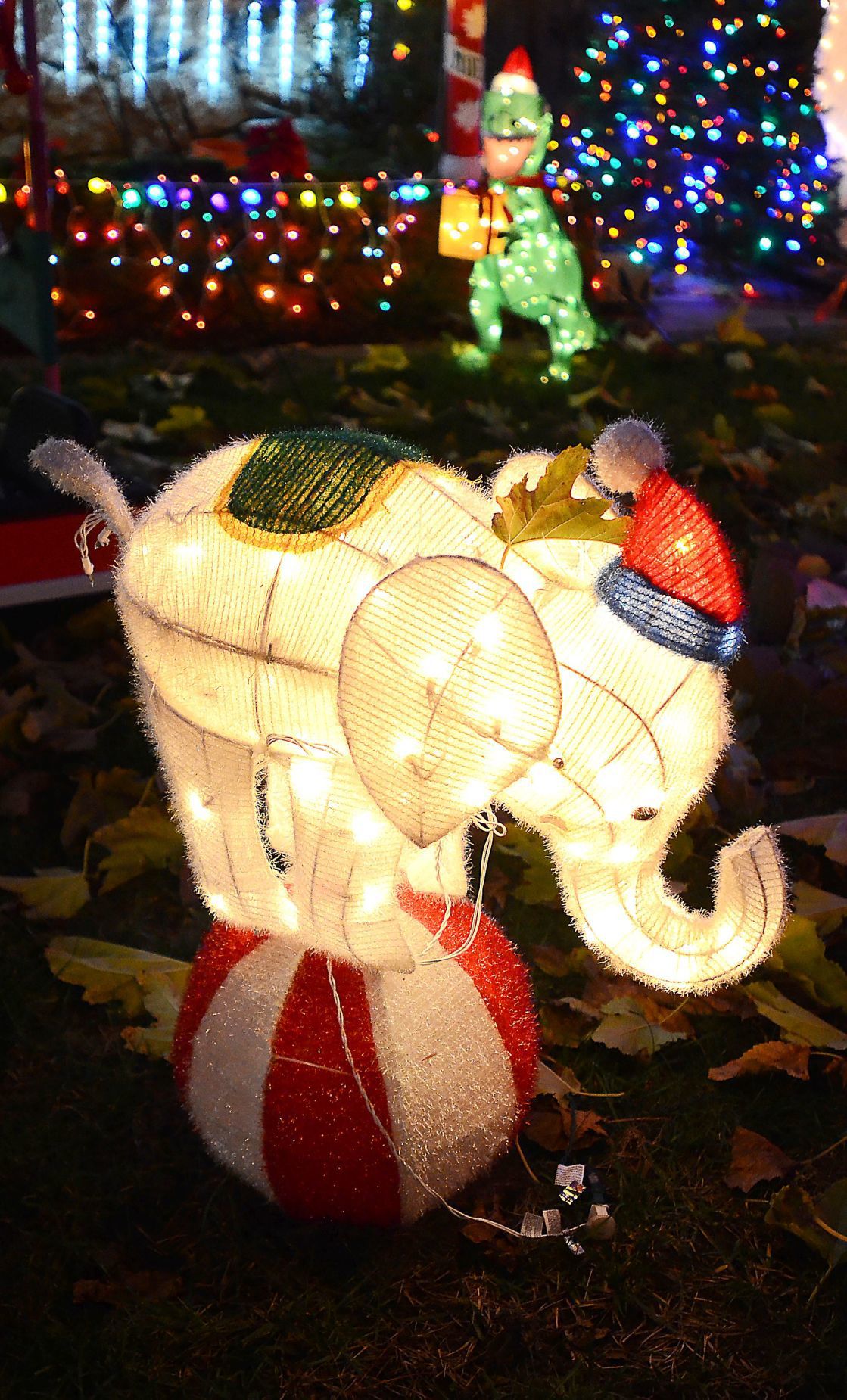 Napa Christmas lights